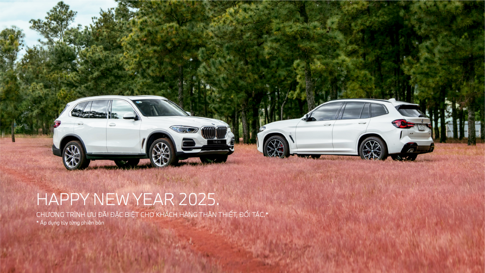 copy-of-happy-new-year-2025-1920x1080